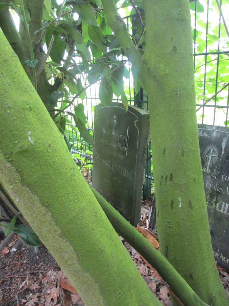 Die Grabsteine für Menno und Elisabeth Budde am Friedhof Sternbuschweg. Foto: Andrea Budde/Birgit Budde Die Grabsteine für Menno und Elisabeth Budde am Friedhof Sternbuschweg. Foto: Andrea Budde/Birgit Budde